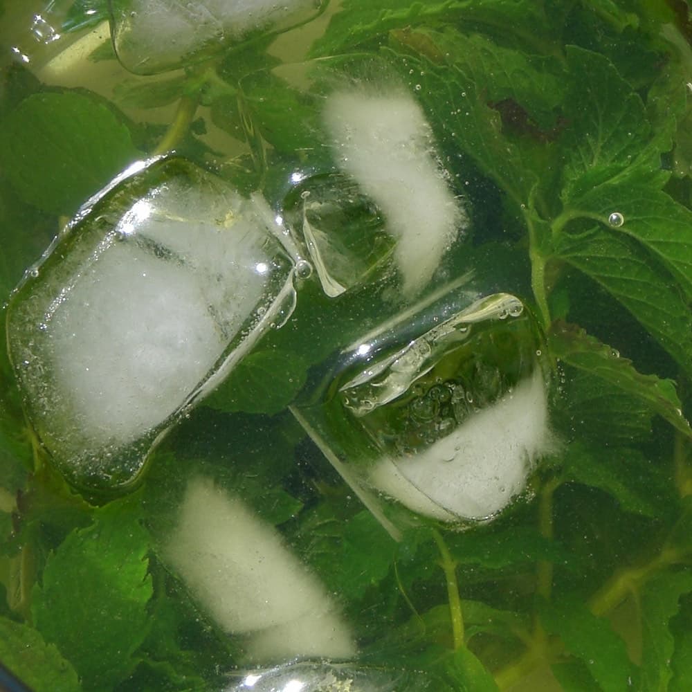 Cold Brew Herbal Tea: Safer Methods for Hibiscus, Mint, Rooibos and Chamomile