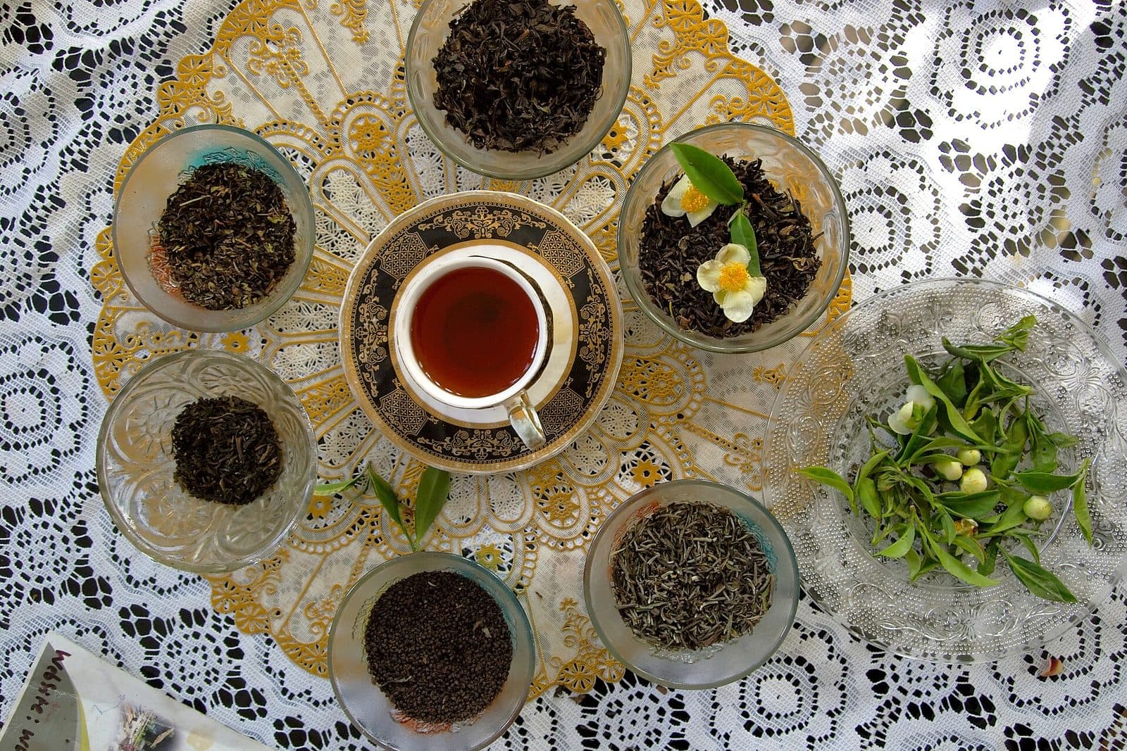 Bowls of several different dry Darjeeling teas around a cup of brewed tea
