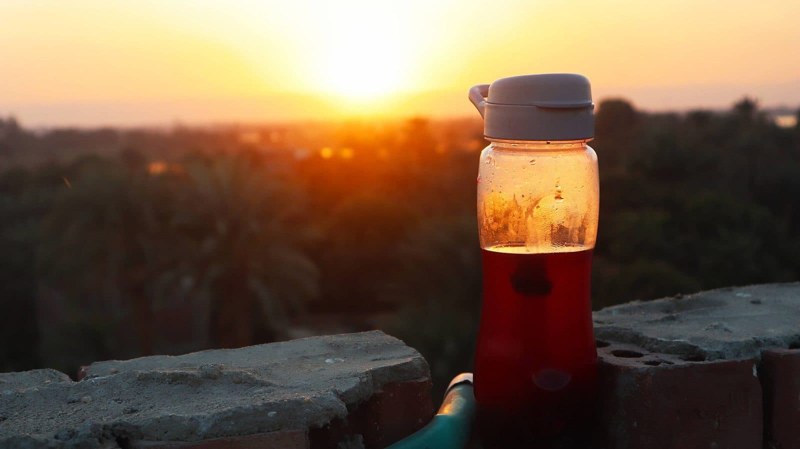 How to Make Cold Brew Tea: A Simple Step-by-Step Method