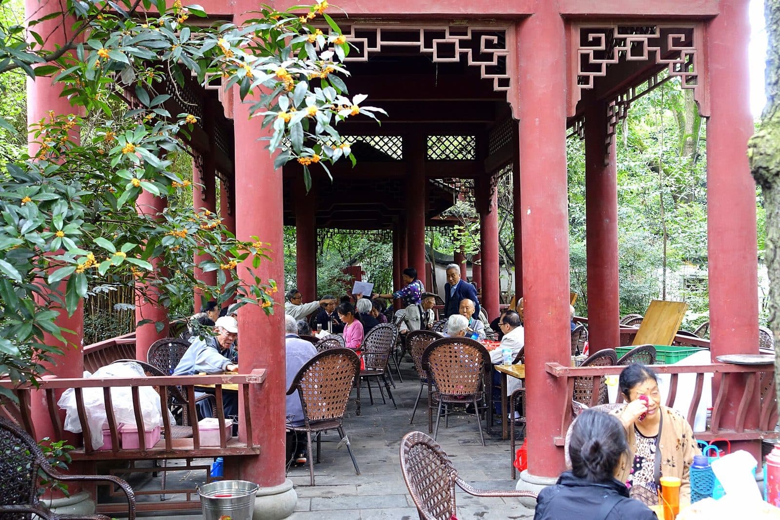 Chinese Tea