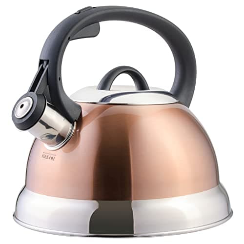 Mr. Coffee Flintshire 1.75-Quart Stainless Steel Whistling Tea