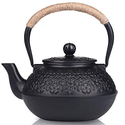Sotya Cast Iron Tea Pot with Infusers for Loose Tea