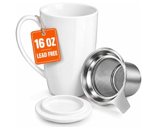 DeeCoo Tea Mug with Infuser and Lid