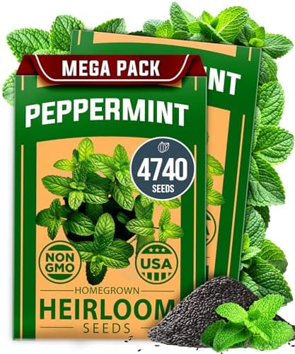 HOME GROWN Peppermint Seeds, 4,740 Seeds
