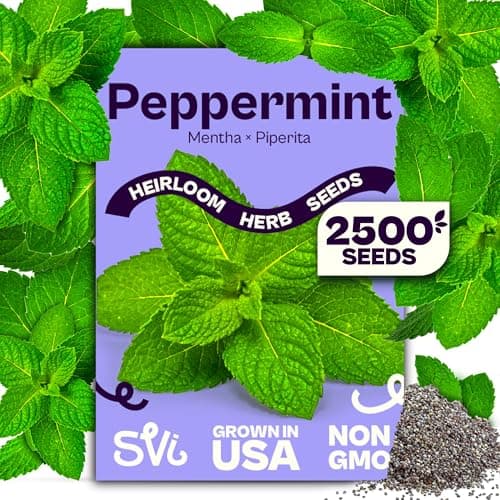 SVI 2500 Peppermint Seeds (Mentha piperita)